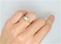 Anello Bliss Donna in Oro giallo Diamante 0.05 Ct 20055469-14 - 20055469-14